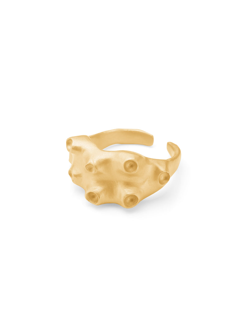 NÜ Moonwalk No. 1 ring Jewellery 011 Gold